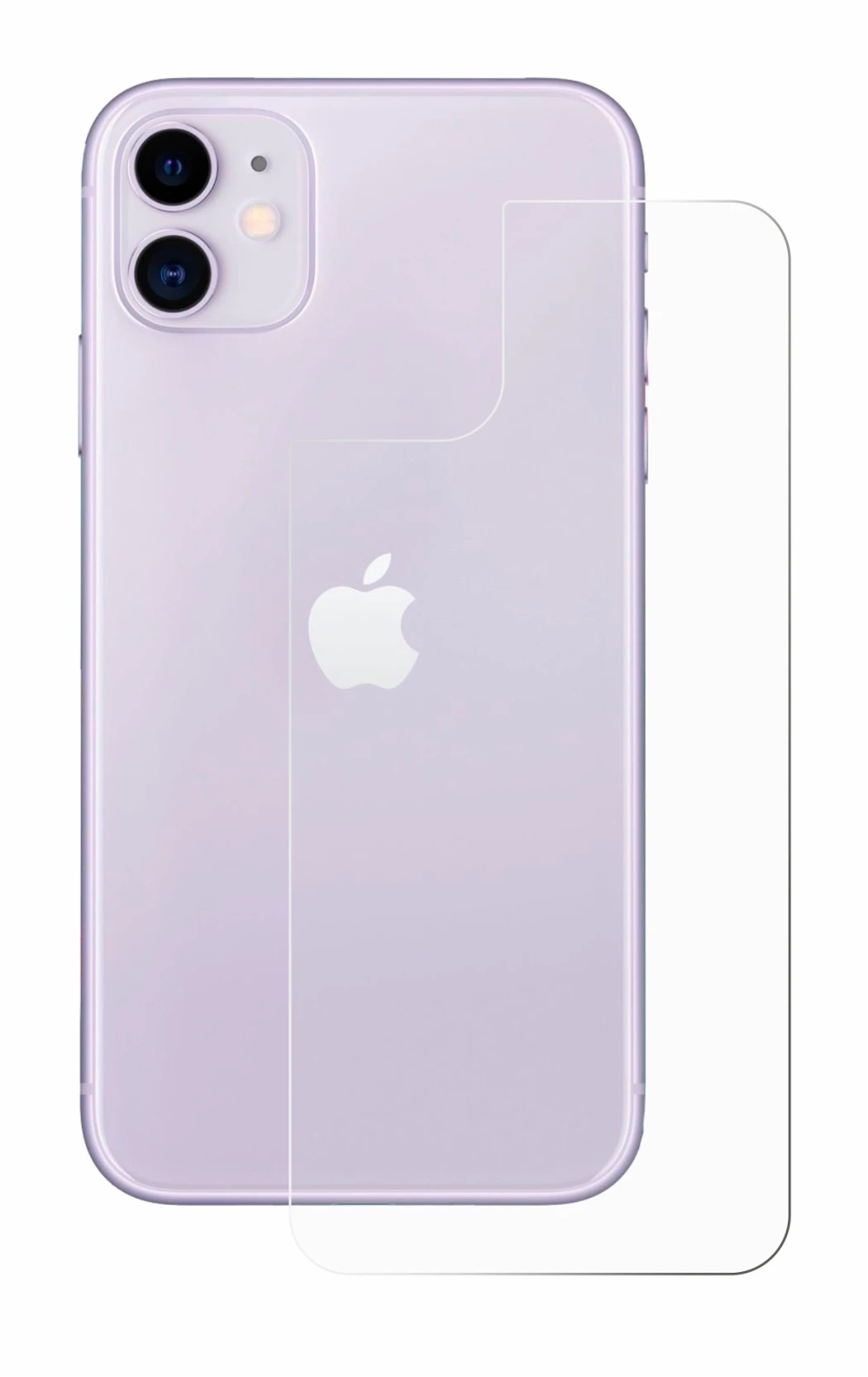 Immagine del dispositivo Apple iPhone 11 (Posteriore) con un'ampia varietà di protezioni per lo schermo.