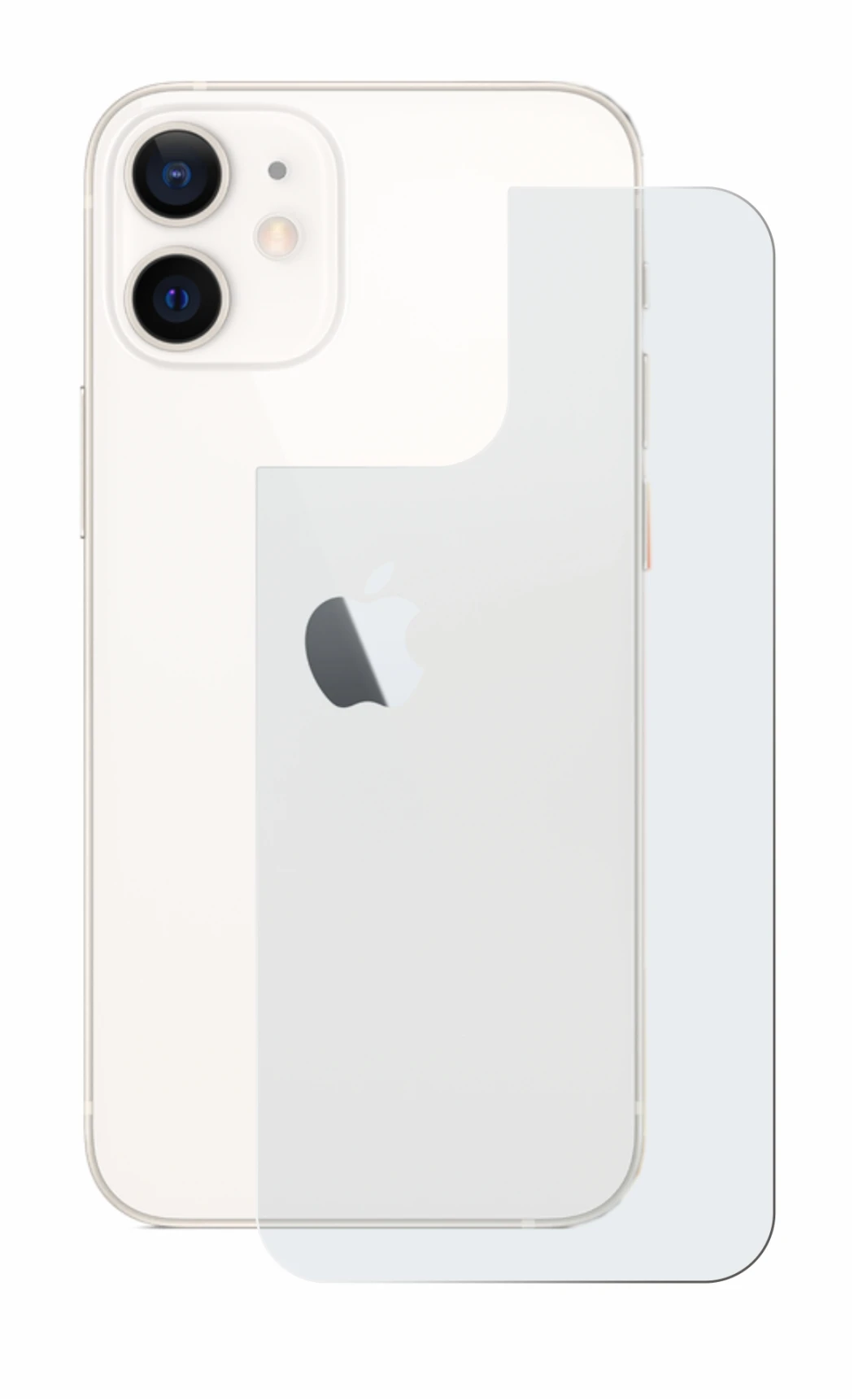 Immagine del dispositivo Apple iPhone 12 mini (Posteriore) con un'ampia varietà di protezioni per lo schermo.