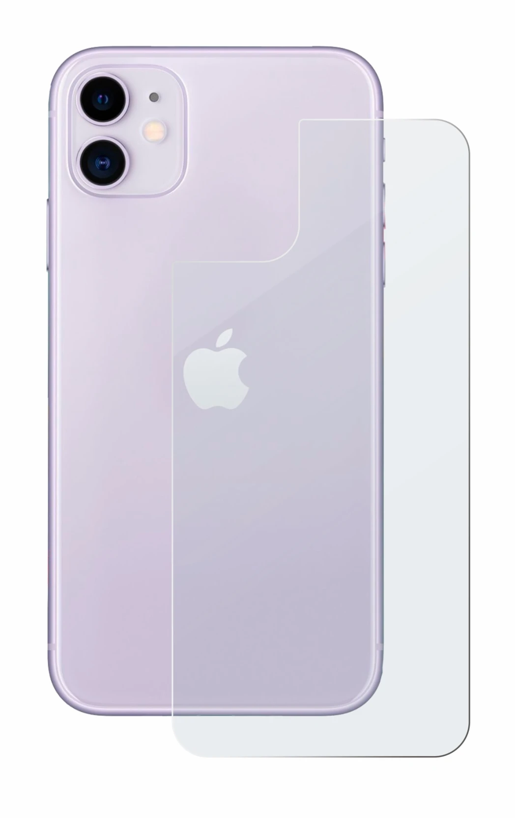 Immagine del dispositivo Apple iPhone 11 (Posteriore) con un'ampia varietà di protezioni per lo schermo.